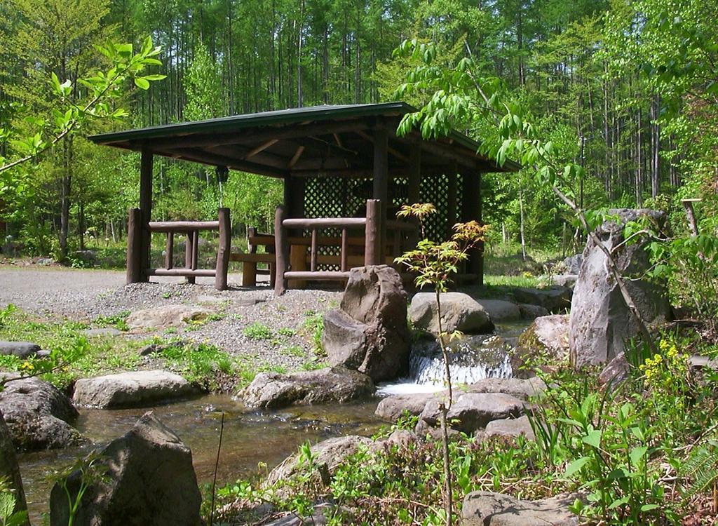 Alpine Inn Mizushiro Мацумото Екстер'єр фото